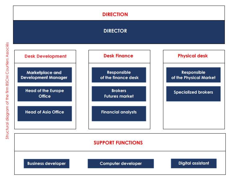 BSCM Org Chart